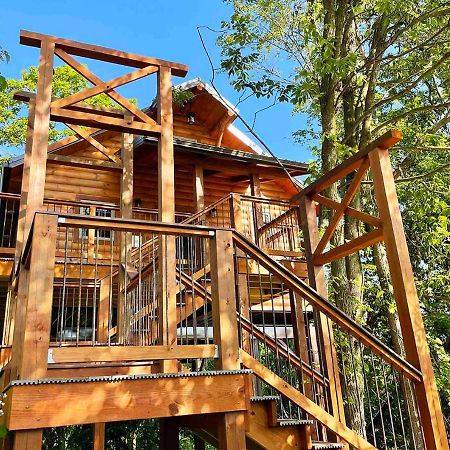 Cricket Hill Treehouse By Amish Country Lodging Millersburg Luaran gambar