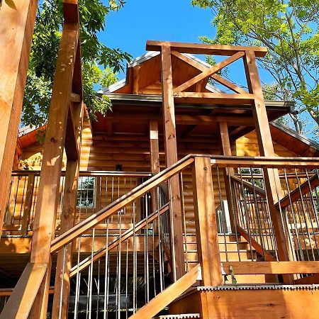 Cricket Hill Treehouse By Amish Country Lodging Millersburg Luaran gambar